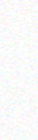 bg.png
